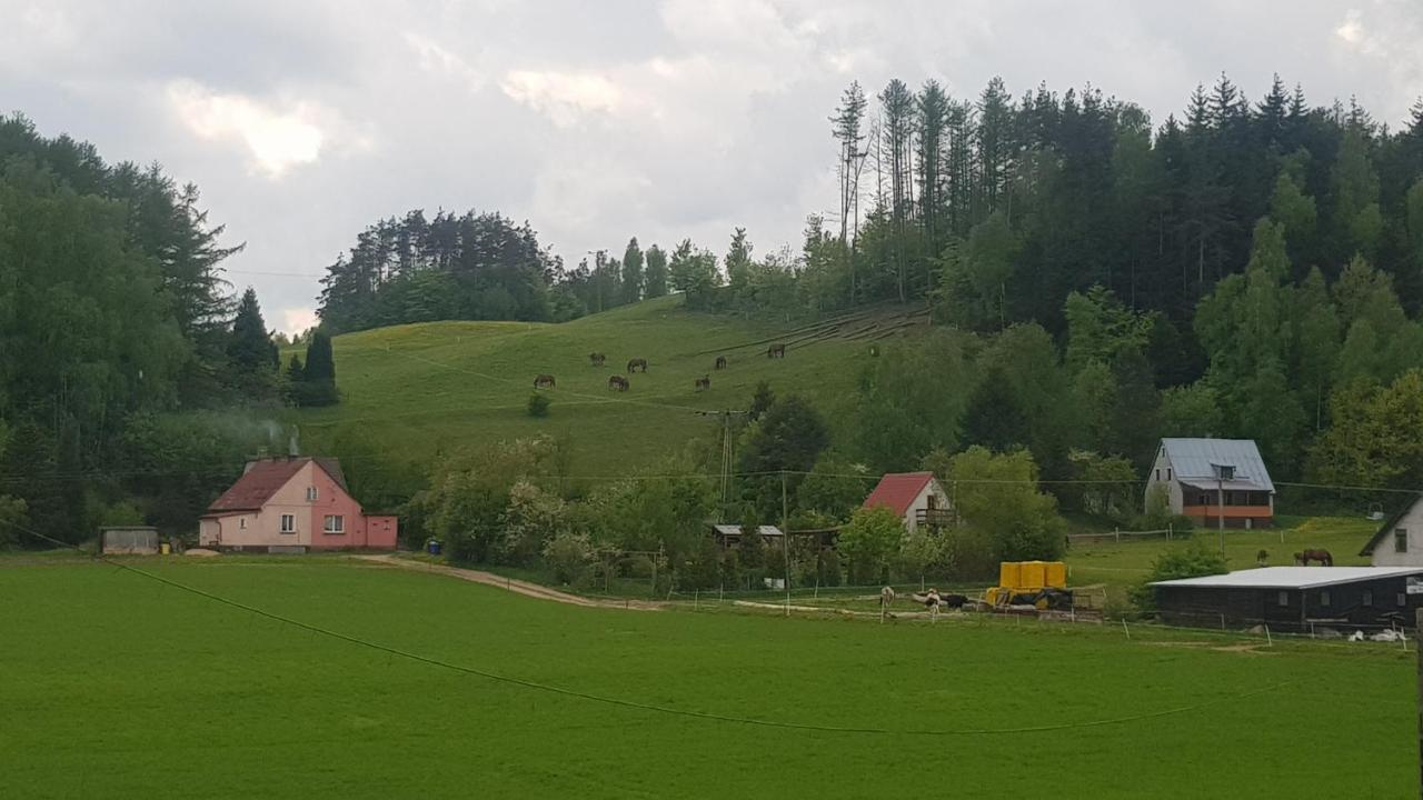 Przystanek Patulskie Pierszczewo Zewnętrze zdjęcie